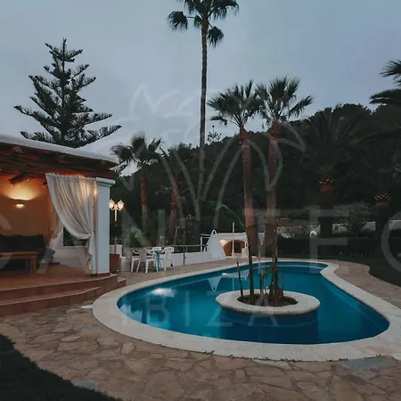 Teo - In Ibiza Villa San José
