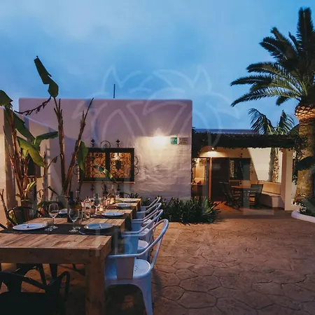 Teo - In Ibiza * San José
