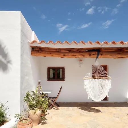 Teo - In Ibiza Villa