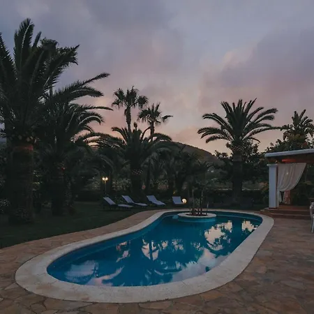 Teo - In Ibiza San José