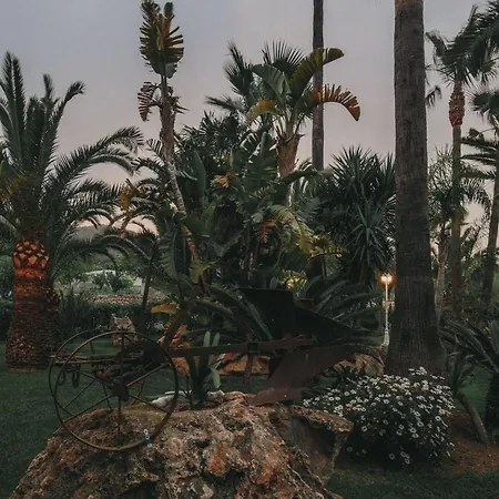 Teo - In Ibiza Villa San José